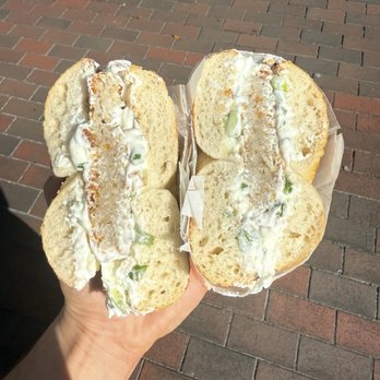El Bagel - plain bagel, scallion CC and latke - Bagels Near Me - Coconut Grove, Florida El Bagel - plain bagel, scallion CC and latke - Bagels Near Me - Coconut Grove, Florida