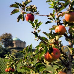Grabkapelle Württemberg