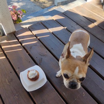 Maple Street Bistro - Ted REALLY loves msb cinnamon rolls - Breakfast & Brunch Near Me - Spokane, Washington Maple Street Bistro - Ted REALLY loves msb cinnamon rolls - Breakfast & Brunch Near Me - Spokane, Washington