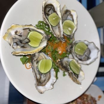 Los Arcos - Oysters don't know the kind - Seafood Near Me - Tijuana, BCN