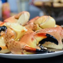 Fresh Stone Crabs