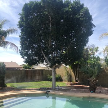 ArborCraft Tree Service - Tree Services Near Me - Phoenix, Arizona