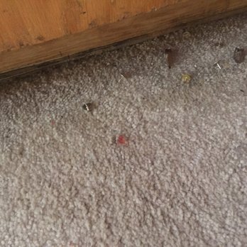 Green Clean Maids - Tacks on floor - Home Cleaning Near Me