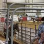 Photo of Agricenter ShowPlace Arena