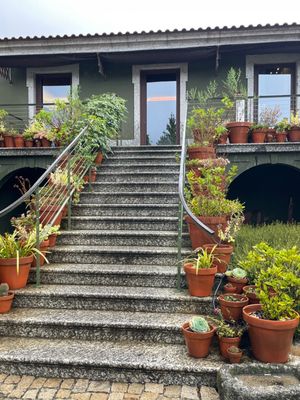 Hotel Monverde by null