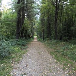 Naugatuck State Forest