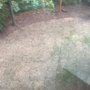 Photo of Season 2 Season Landscaping