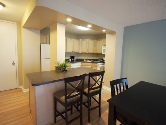 Millennium Park Plaza by null