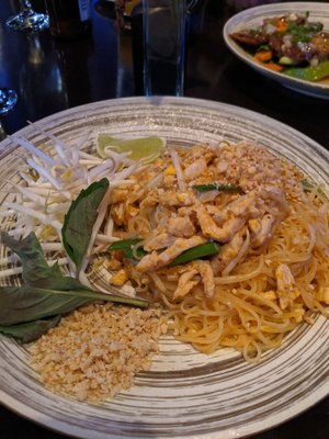 Purple Shell Boston by null