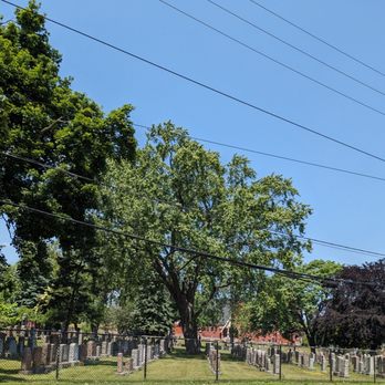 St John's Norway Cemetery & Crematorium - View from Kingston Road - Funeral Services & Cemeteries Near Me - Toronto, Ontario St John's Norway Cemetery & Crematorium - View from Kingston Road - Funeral Services & Cemeteries Near Me - Toronto, Ontario