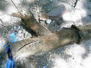 Slide of Suburban Sewer & Septic