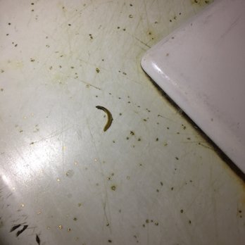 Chipotle Mexican Grill - Fingernail I found in my bowl - Mexican Near Me - Beverly, Massachusetts