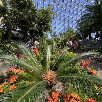 Bloedel Conservatory - Botanical Gardens Near Me - Vancouver, British Columbia