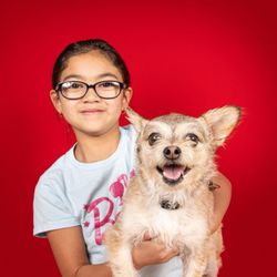 Denver Pet Pics - Yes