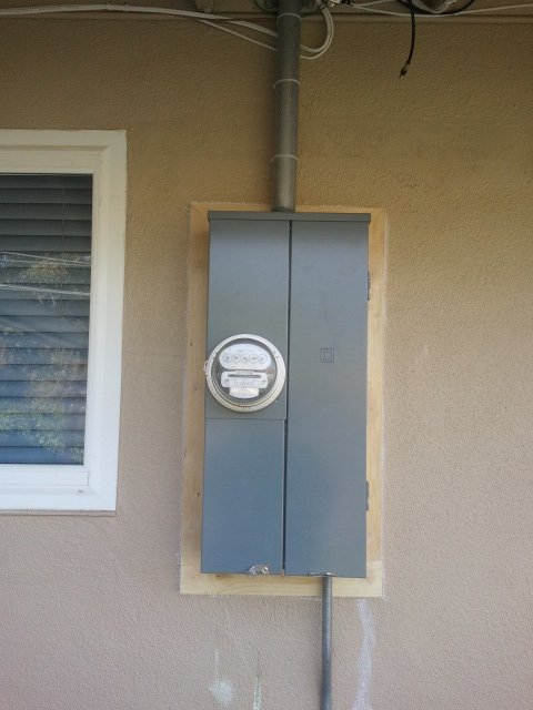 Slide of Bee Thumb Electric