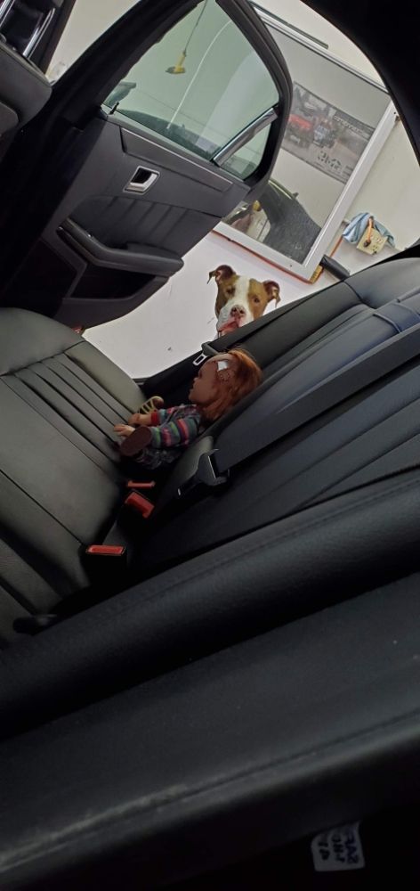 Richard's Window Tinting