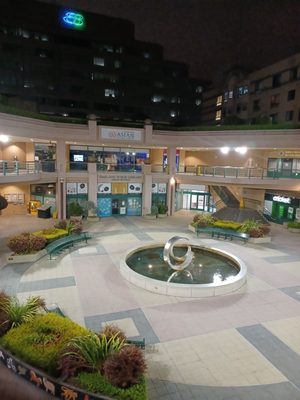 Oakland Public Library, Asian Branch by null