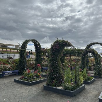 The Flower Fields - Venues & Event Spaces Near Me - Carlsbad, California