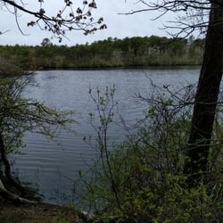Dune Shacks Trail - View of one of the lakes