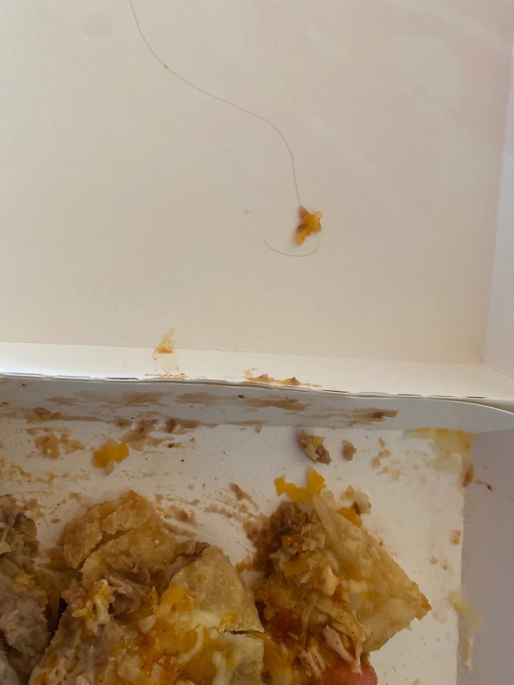 Taco Bell Logo