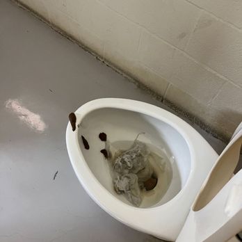 Westview High School - This is in one of the stadium bathrooms. You can clearly tell what it is. - Middle Schools & High Schools Near Me - San Diego, California Westview High School - This is in one of the stadium bathrooms. You can clearly tell what it is. - Middle Schools & High Schools Near Me - San Diego, California