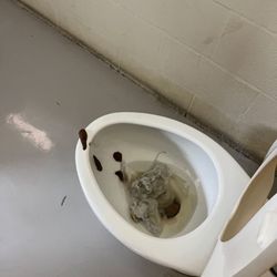 This is in one of the stadium bathrooms. You can clearly tell what it is.
