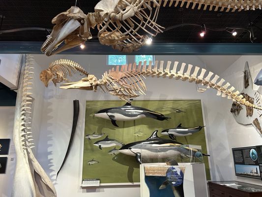 George B. Dorr Museum of Natural History by null