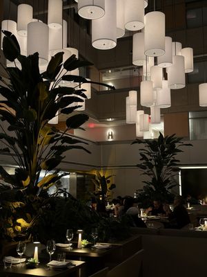 ADRIFT MARE by null ADRIFT MARE by null