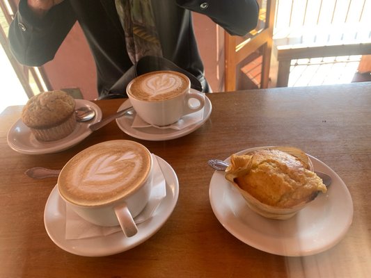Café Brújula Alcalá | Café de Especialidad de Oaxaca, México by null