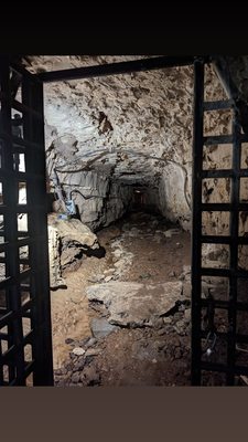 Bell Witch Cave by null