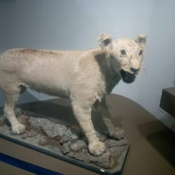 Paraninfo de la Universidad de Zaragoza