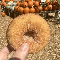 Langwater Farm - Apple cider donut