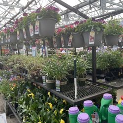 Lowe's Home Improvement - Garden Center
