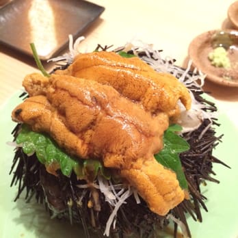 MF Sushi - The best uni I have ever eaten. It was alive just minutes before we dug in. - Sushi Bars Near Me - Houston, Texas