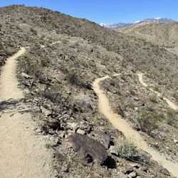 Jackrabbit Trail