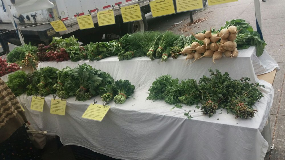 FLUSHING GREENMARKET Updated August 2024 Kissena Blvd & Maple Ave