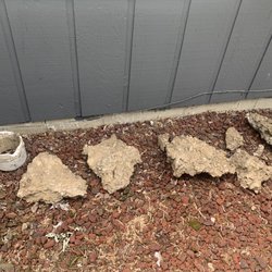 Neighborhood Rooter Express