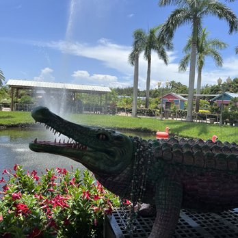 FLAMINGO ROAD NURSERY - Updated October 2024 - 1594 Photos & 345