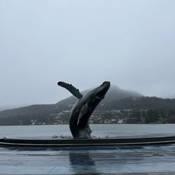 The Whale Project