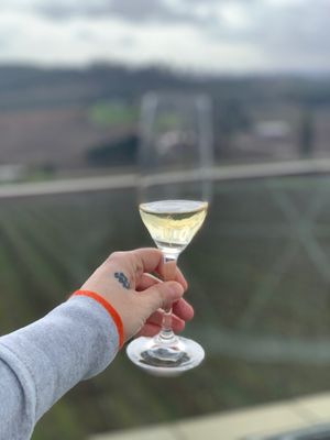 Willamette Valley Vineyards by null