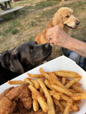 Blue Barn Cidery by null