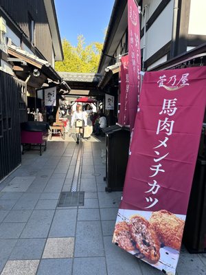 Kumamoto Castle by null