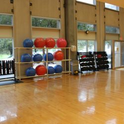 Charles W Lamar Jr YMCA