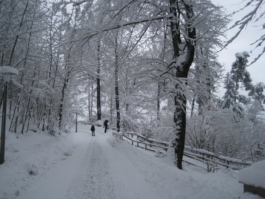 Uetliberg by null