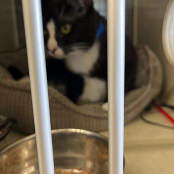 Pet Supplies Plus Amherst - Sheridan - I'm so sweet - Pet Stores Near Me - Amherst, New York