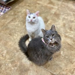 Louie and Gracie