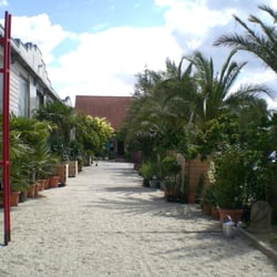 Flora Mediterranea