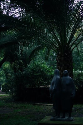 Museo de Arte Moderno by null