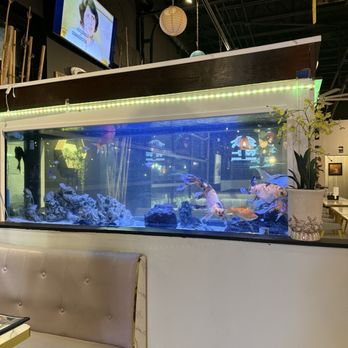 Pho Au Lac - Inside is very nice, love the aquarium. - Vietnamese Near Me - Winter Springs, Florida Pho Au Lac - Inside is very nice, love the aquarium. - Vietnamese Near Me - Winter Springs, Florida