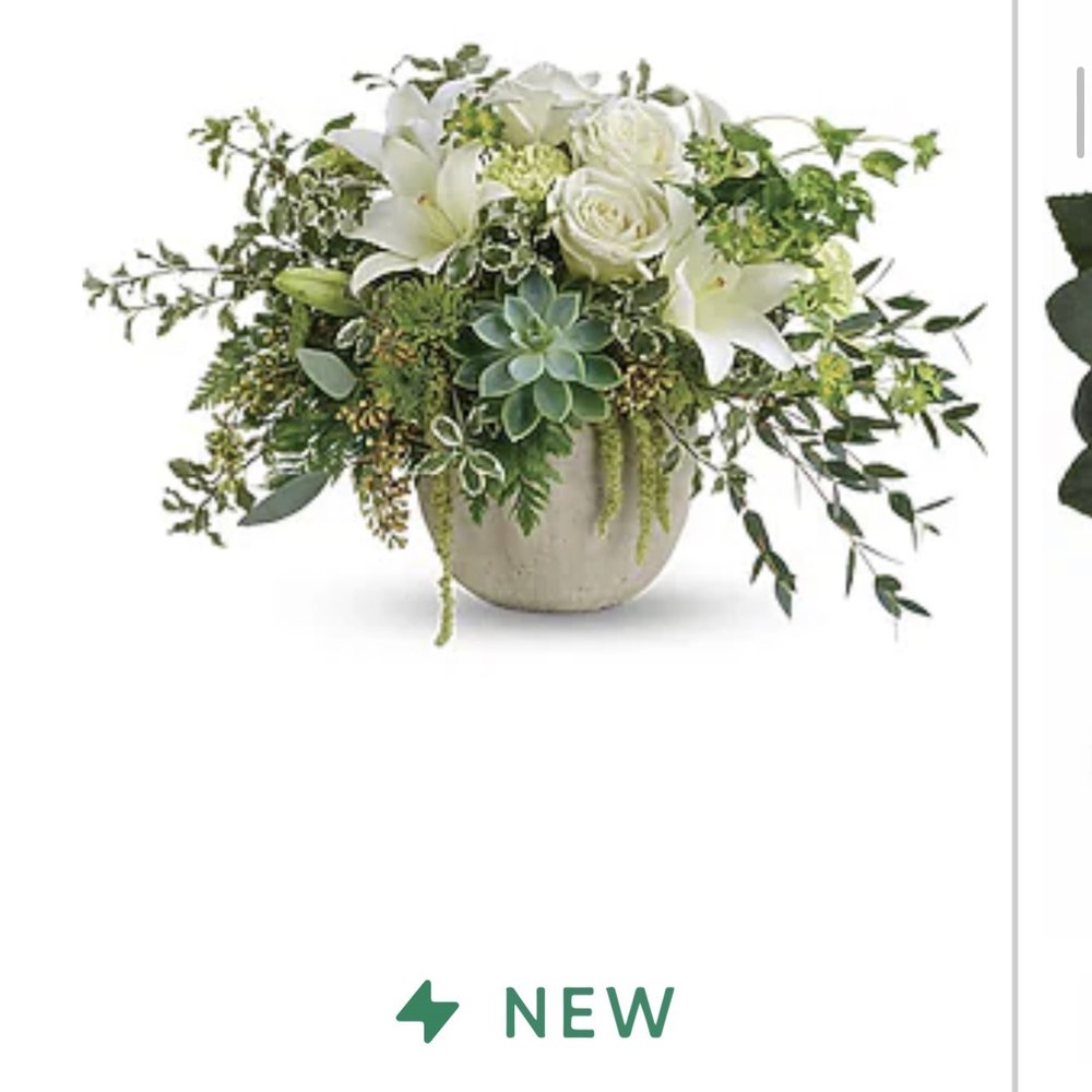 Acacia Flowers - What I ordered. Look nothing a like - Florists Near Me - Phoenix, Arizona Acacia Flowers - What I ordered. Look nothing a like - Florists Near Me - Phoenix, Arizona